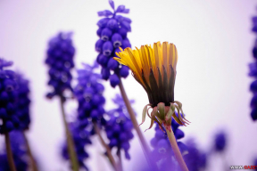 Однажды ветреным майским днем. 7 ярких фото