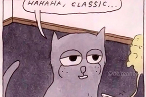 Фотожабы: «Айтишники дофига получают!»