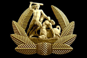 Цеслер придумал кокарду для ОМОНа