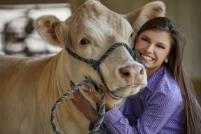 Хочешь быть здоров, обнимай коров