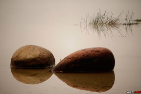 Свіцязь. Цішыня