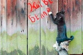 Фотожабы: «Девушка, не двигайтесь!»