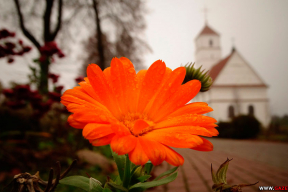 10 фото. Как красиво прощается осень