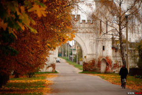 Последнее золото осени