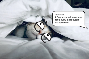 В телеграме появился бот, который поможет вернуть хорошее настроение. Бесплатно