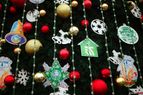 Агро-креатив: Какими «игрушками» украсили главную ёлку страны