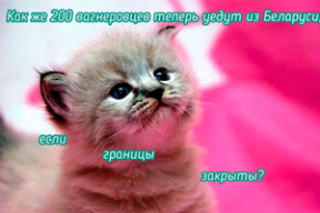 Фотожабы: «Вы хацели гетта? Я сделал!»