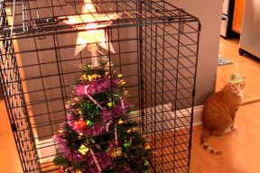 Фотожабы: «Галя, неси карточку, тут отмена»