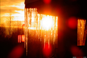 Когда пришла настоящая зима. 12 морозных фото