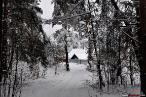 Зимняя сказка. Продолжение