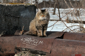 Как красиво зима прощается