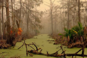 Маркетолог: «Люди хотят развиваться и процветать. Зачем им чахнуть в болоте безысходности?»