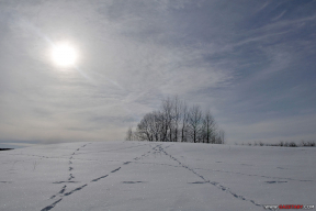 Фотатэрапія. Вандроўка па нарачанскіх пагорках і ўзлесках