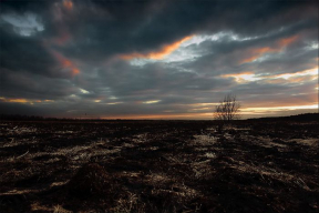 Бизнесмен — о тираде Лукашенко: «Скоро здесь будет выжженное поле»