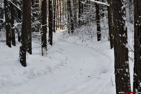 Навстречу трескучим морозам. 10 суровых и снежных фото