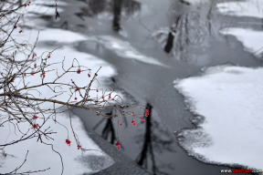 Без политики. Только снег, мороз и закат