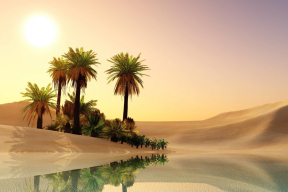 Романчук: «Соблюдаешь правила игры, не лезешь в политику — и никто не будет смотреть, чем ты тут занимаешься»