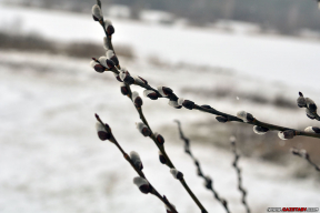 Зима вернулась. В Беларусь пришли метели