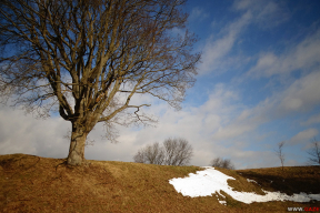 Яркое начало весны. 7 фото