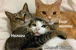 Фотожабы: «Запускайте видео с крысами»