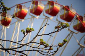 Вясна ў парках вялікага горада