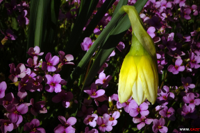 В ожидании тепла