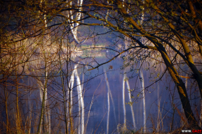 Як прыгожа развітваецца красавік