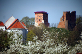 Старажытны горад: замак, пагоркі, квецень чарэшняў