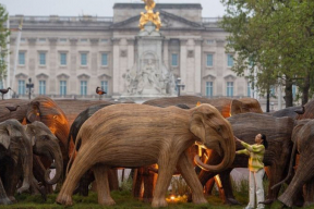 Символический марш. 125 деревянных слонов пригнали в Лондон