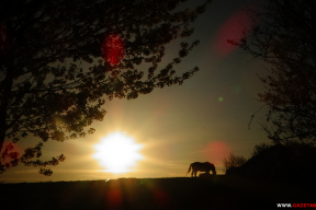 Прыгажосць вясновай вёскі. Фотапрагулка
