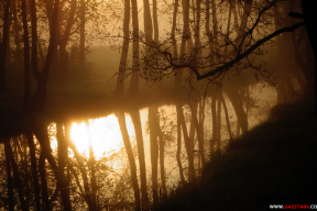 Майское утро после дождя: огненный рассвет, улитки и тюльпаны