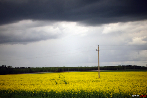 Перад навальніцай
