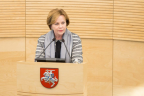 Экс-министр обороны Литвы: «Если в будущем Беларусь скажет НАТО «да», как украинцы говорят сейчас, то и для Беларуси не будет другого пути»