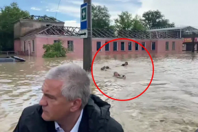 Фотофакт. В Керчи затопило более 200 домов – спасатели плыли за главой Крыма кролем