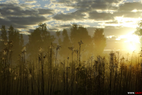 Завтра будет новый день