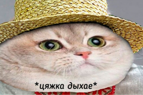 Фотожабы: «Ты только приплывай. Хоть иногда»