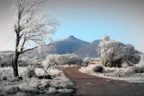 Пока в Беларуси жара. Снег и мороз в Южной Африке