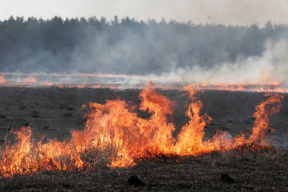 Бизнесмен о новых правилах для ИП: программа «выжженное поле» в действии