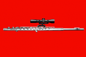 Юристу Максиму Знаку и флейтистке Маше Колесниковой: «Правда – страшное оружие»