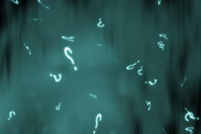 Иосуб: «Чем дальше, тем больше появляется вопросов»