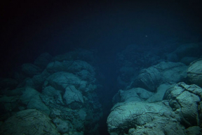 Слюнькин: «Внимания к Беларуси, возможно, будет меньше, если Лукашенко заляжет на дно»