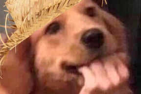 Фотожабы: «Где рубежи, колючка, водометы?»