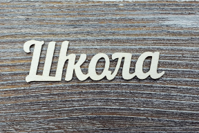 Знание — в силе? «Можно делать все, что угодно, не отвлекаясь на глупости вроде учебного процесса»