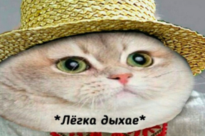 Фотожабы: «Я ль на свете всех сильнее, легитимней и мудрее?»