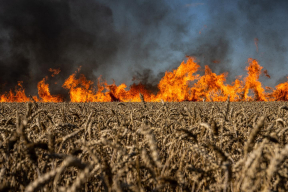 Роднянский: «Война в Украине безрассудно подталкивает мир к эскалации огромного пожара»
