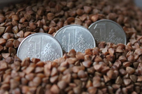 Кнырович: «Пришел первый белорусский дефолт»