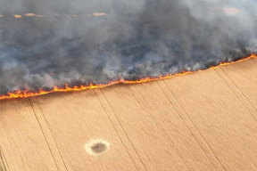 Война, 8 июля. Полк Калиновского сообщил о возможной гибели трех бойцов. Переломный момент в войне «уже начинается». «Папа, она мертвая»