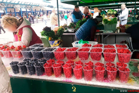 «В лесу все бесплатно, да пойди, собери»