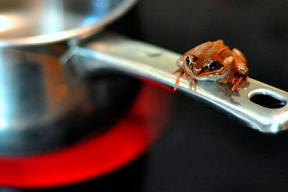 Ковалкин: «Лукашенко со своим режимом будут стараться варить эту лягушку на медленном огне»