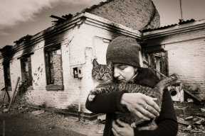 Война, 28 октября. Шойгу доложил правителю о завершении частичной мобилизации. В ЕС назвали выступление Путина «оруэлловским». «Практически официальное признание в терроризме на государственном уровне»